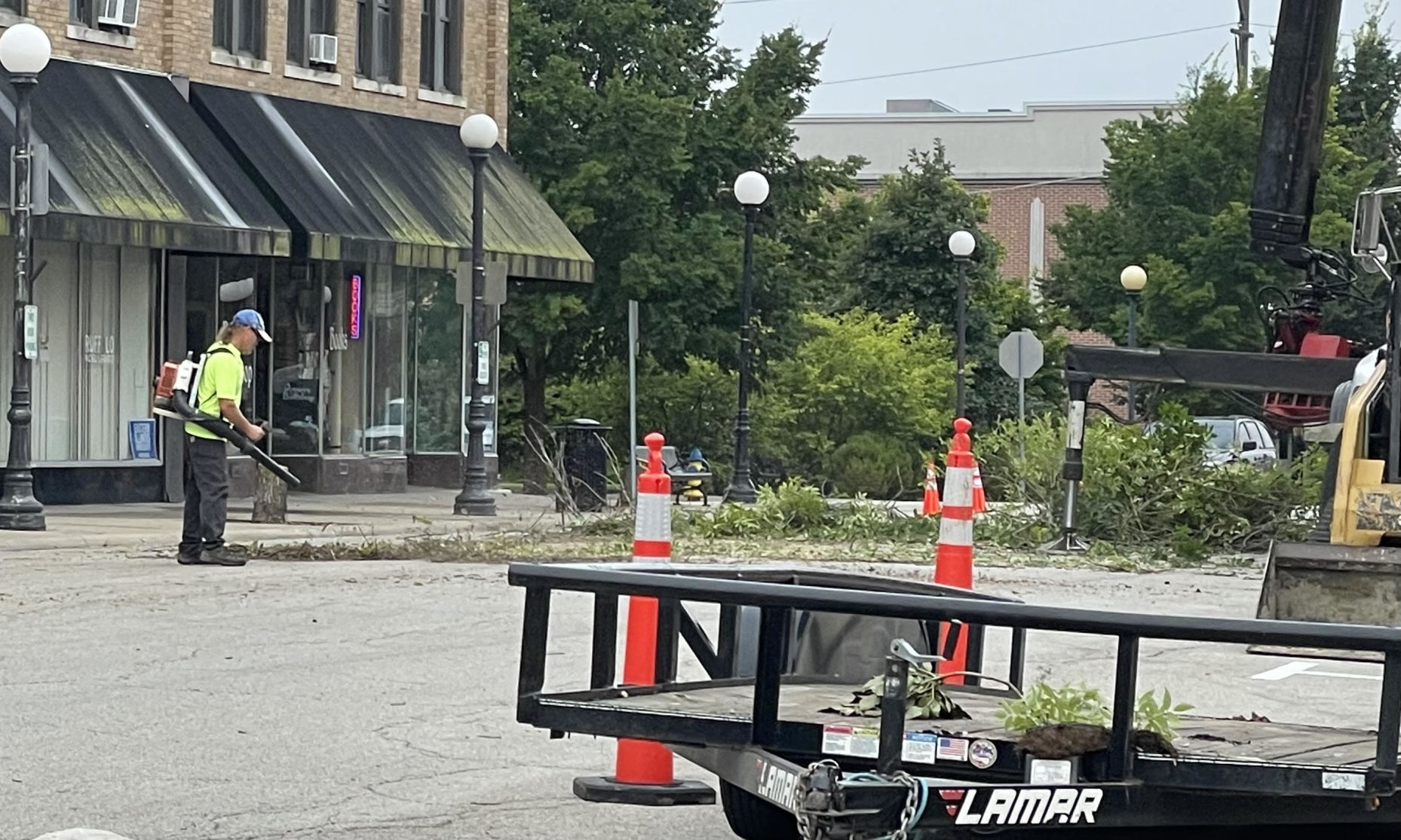 Tree Removal